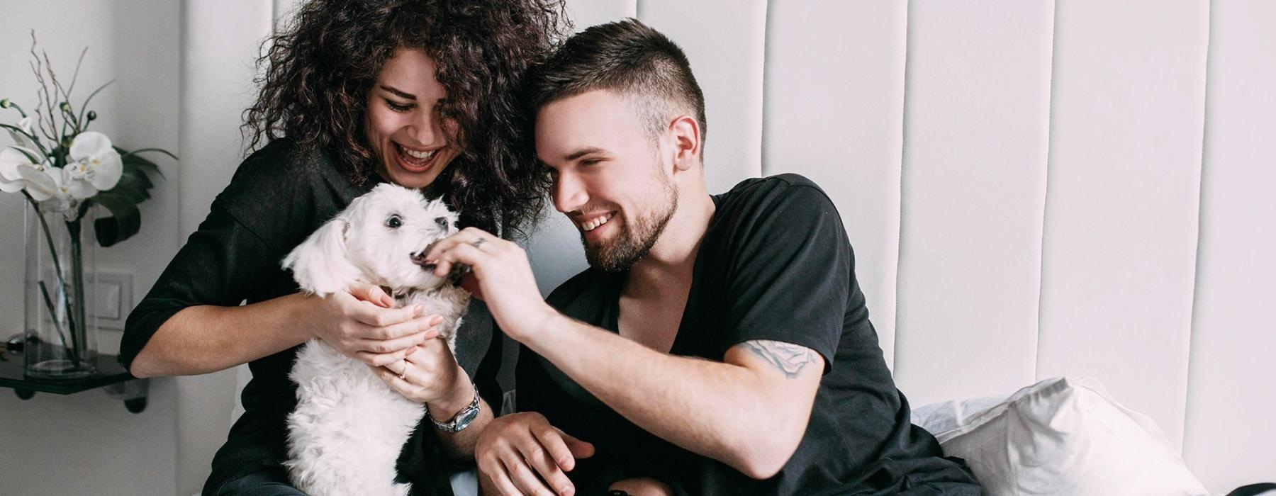 a man and woman sitting on a bed playing with a dog